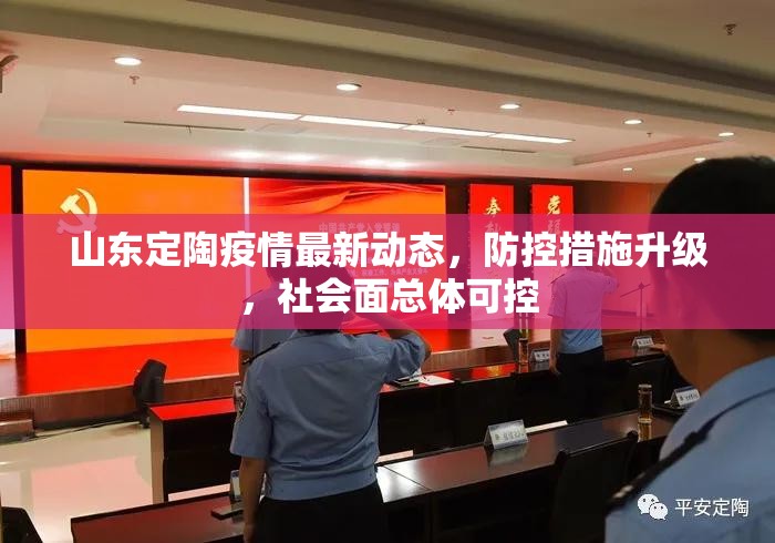 山东定陶疫情最新动态，防控措施升级，社会面总体可控