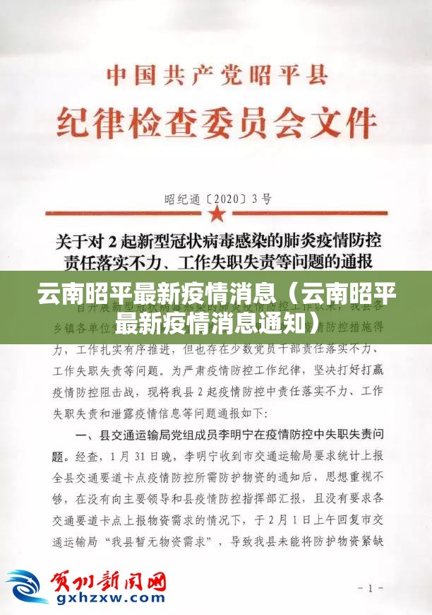 云南昭平最新疫情消息（云南昭平最新疫情消息通知）