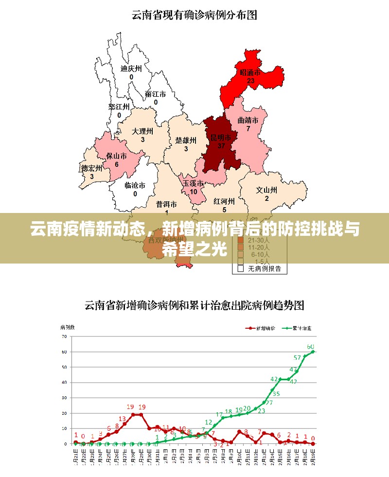 云南疫情新动态，新增病例背后的防控挑战与希望之光