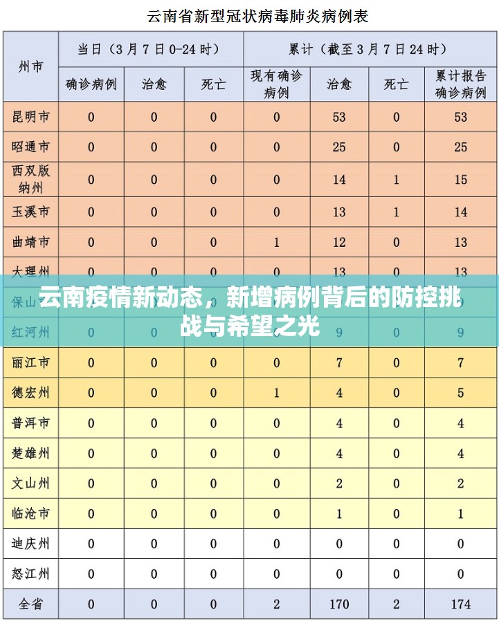 云南疫情新动态，新增病例背后的防控挑战与希望之光